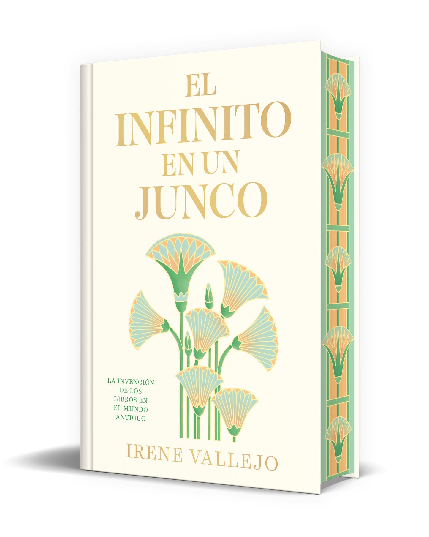 El infinito en un junco
