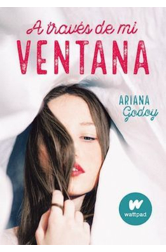 A través de mi ventana (Trilogía Hermanos Hidalgo 1)