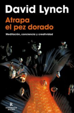 Atrapa el pez dorado (TB)