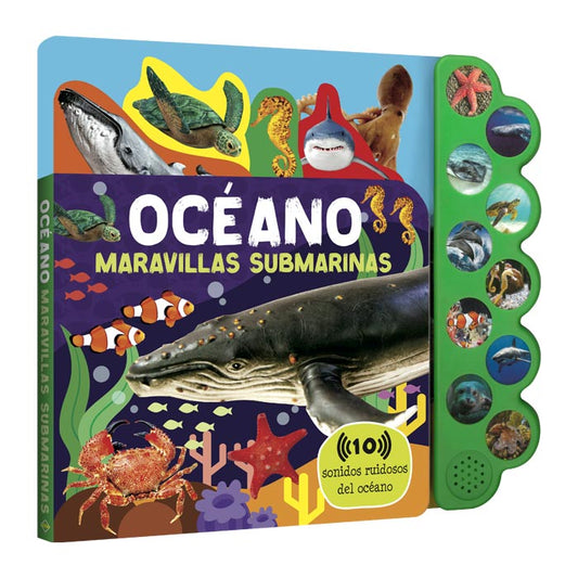 Océano Maravillas Submarinas