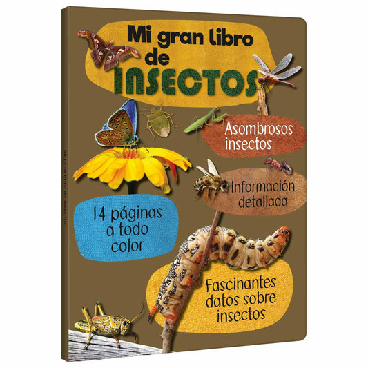 Mi Gran Libro de Insectos