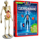 El Fascinante Cuerpo Humano