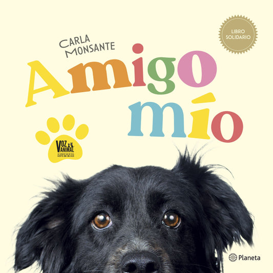Amigo mio